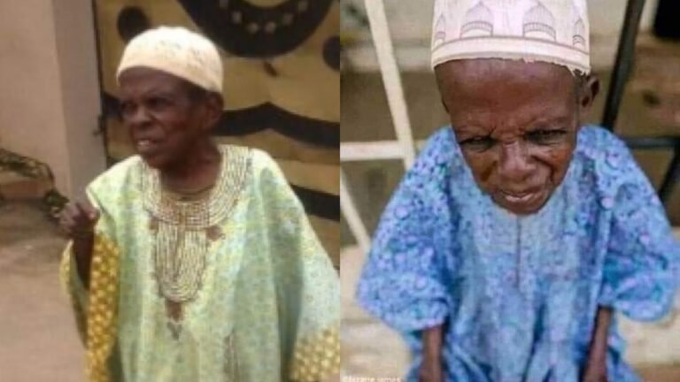 Meet Baba Kekere, Who Has Served Three Alaafins Since 1945 (Video)